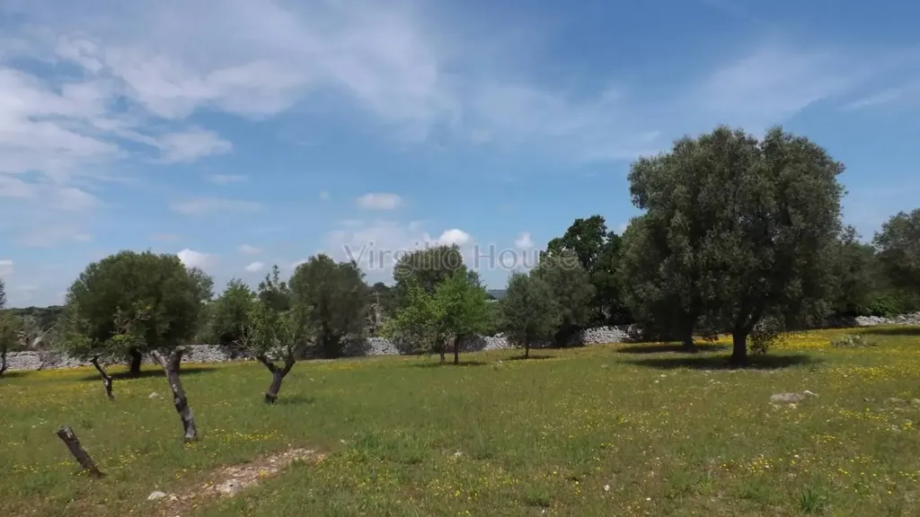 Garden - Typical Trulli House in Ostuni