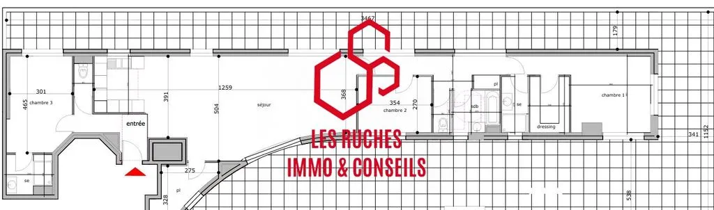 Plan - Appartement Spacieux et Lumineux à Saint-Maur-des-Fossés