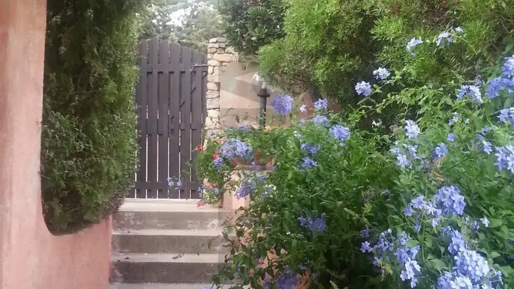 Jardin - Villa with Sea View in Porto Rafael, Palau