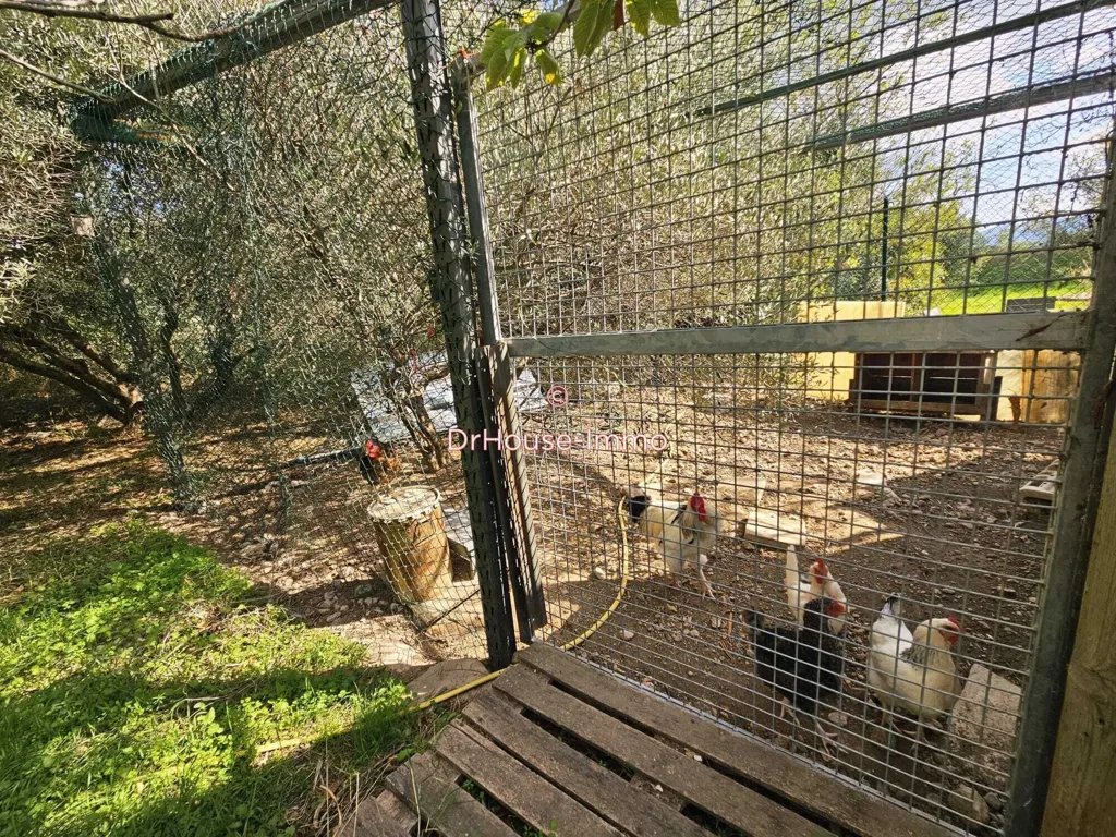 Jardin - Maison avec Piscine et Vue à Marseille-13e