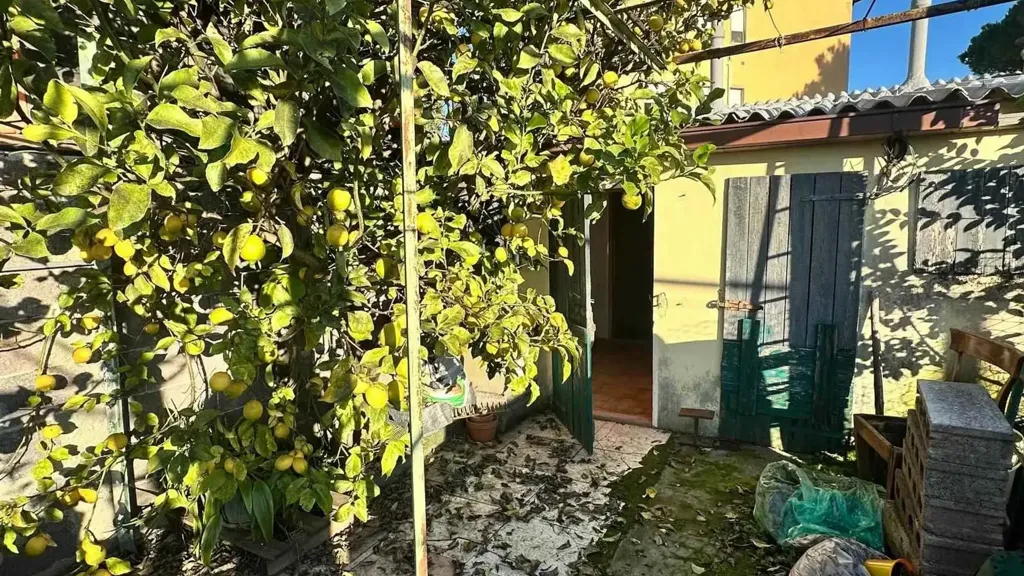 Jardin - Quadrilocale with Balcony in Campiglia Marittima