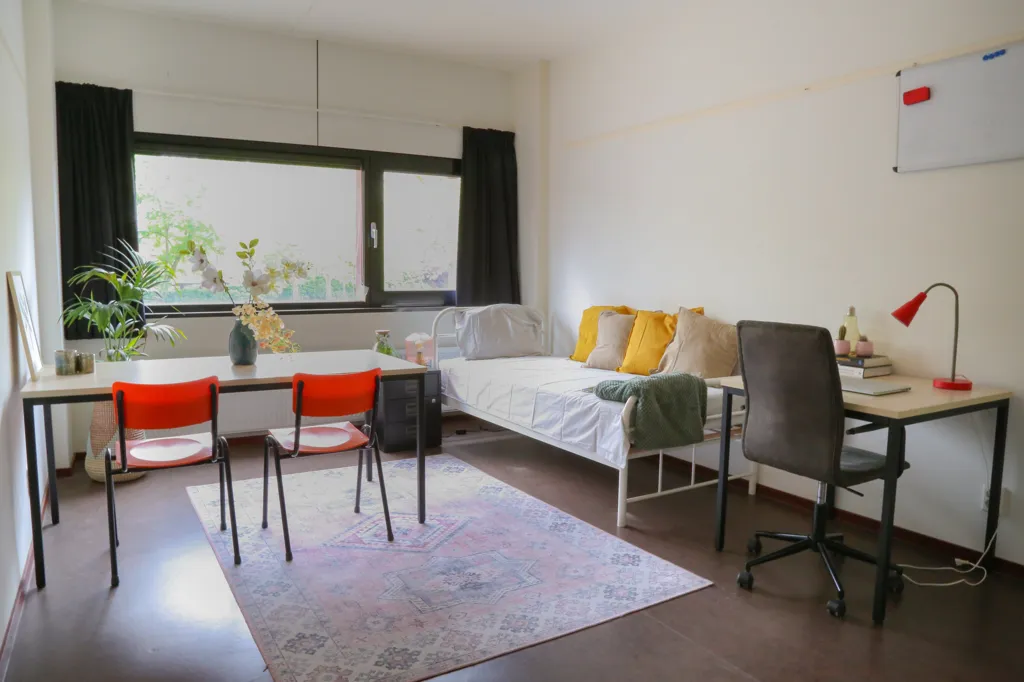 Magamistoad - Studio in Central Eindhoven