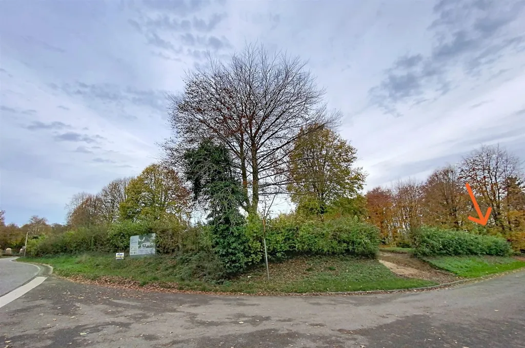 Extérieur - Villa 4 Façades avec Piscine à Ambresin