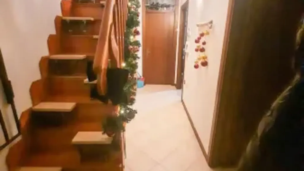 Toad - Rustic-Style Flat with Central Location in Adria