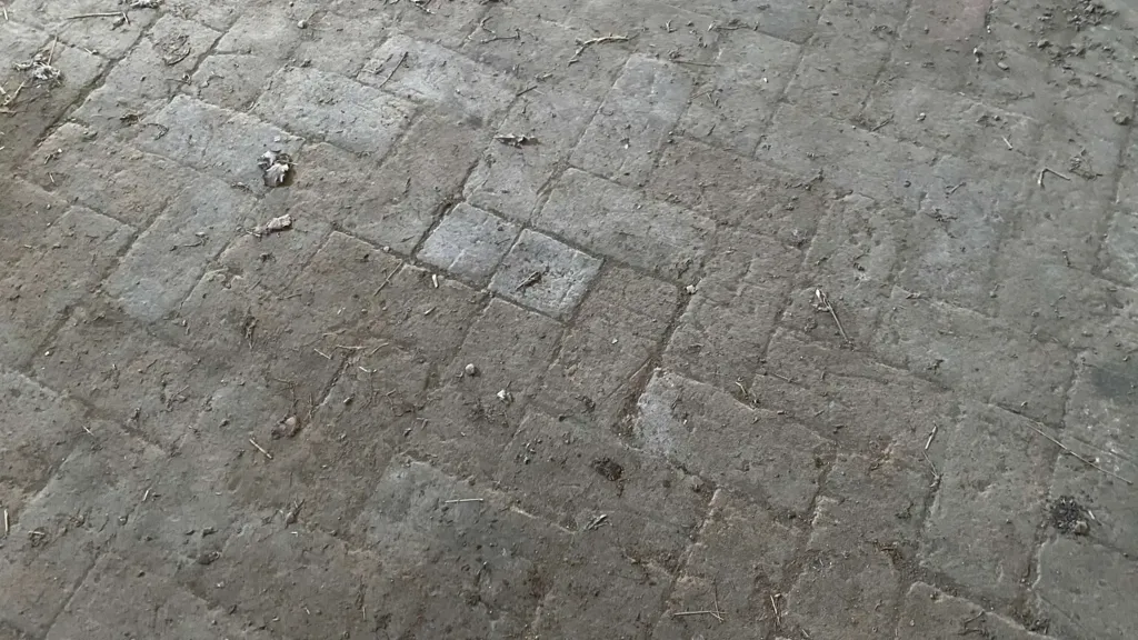 Pièces - Rustic Property with Land in Baggiovara, Modena