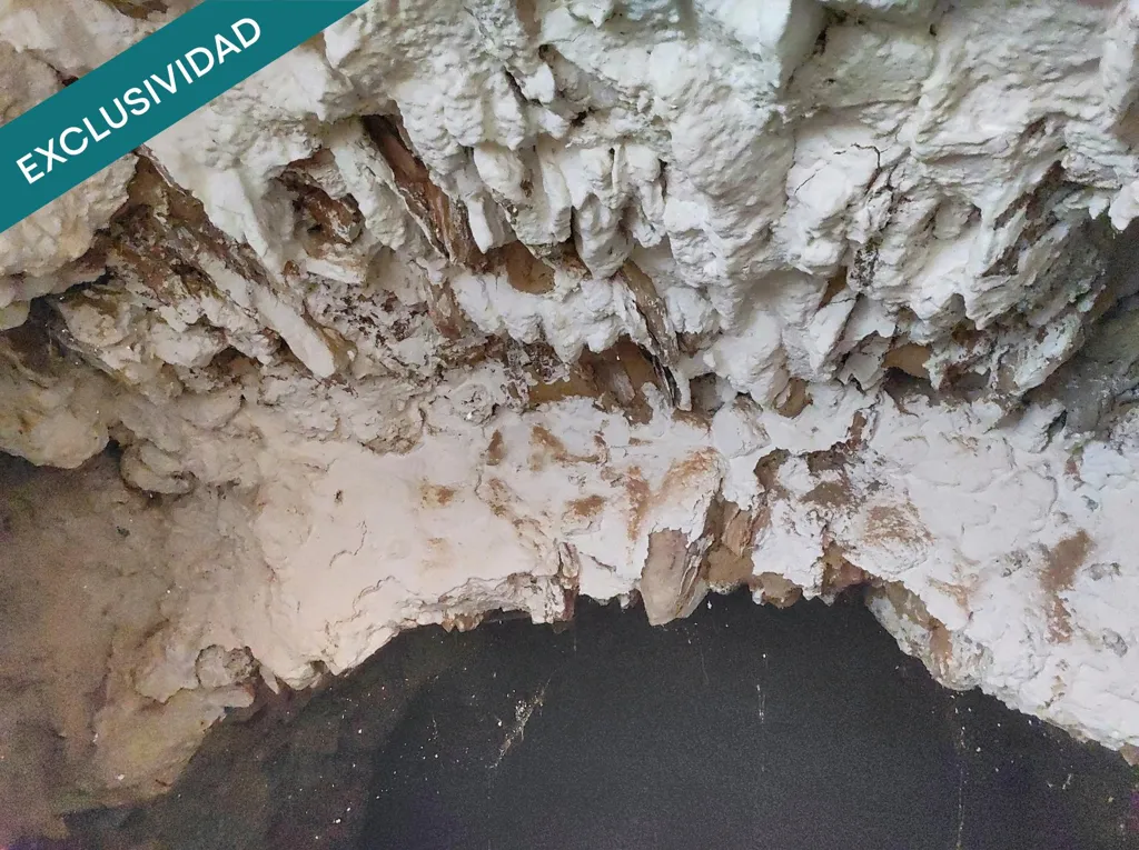 Toad - Detached House with Large Plot in Almagro