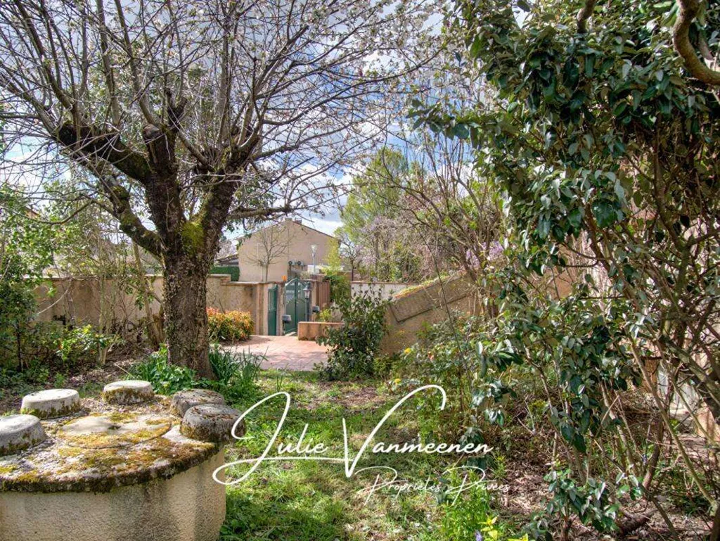 Jardin - Maison Spacieuse avec Terrasses à Colomiers