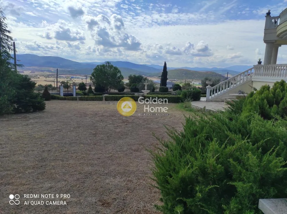 Jardin - Luxury Villa with Garden in Hymettus, Boeotia