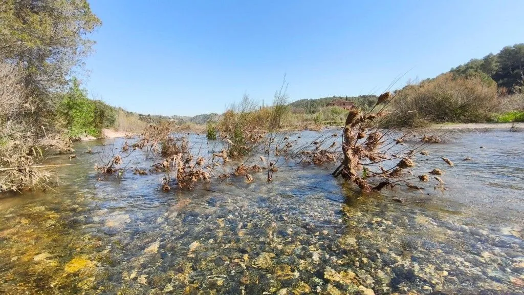 Boutique Vineyard with Winery in Priorat