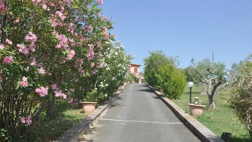 Extérieur - Villa with 360° View in Rosignano Marittimo