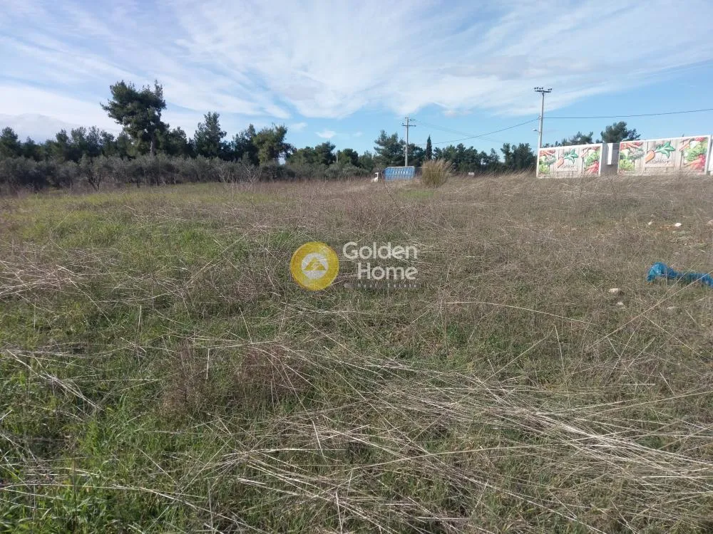 Aed - Commercial Plot with Unrestricted View in Eastern Attica