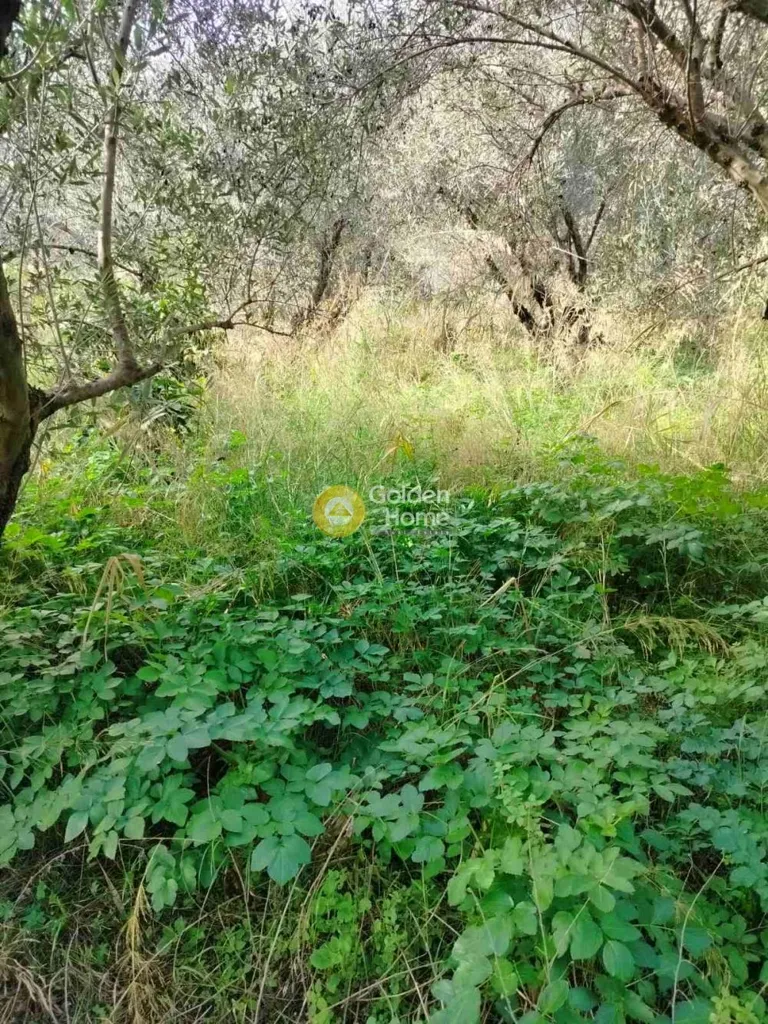 Jardin - Plot with Sea View in Ammoudara