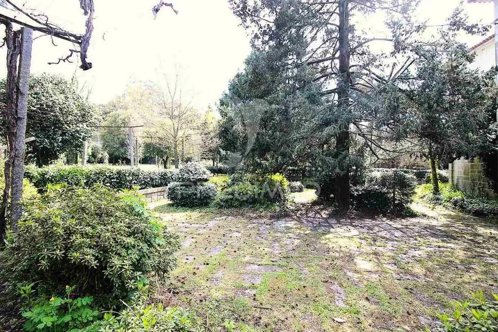 Aed - Development Land with Shops in Guimarães