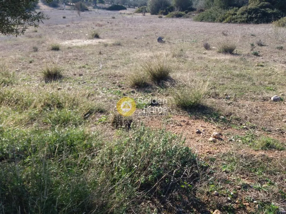 Jardin - Beachfront Plot with 40m Seafront in Tzangarada