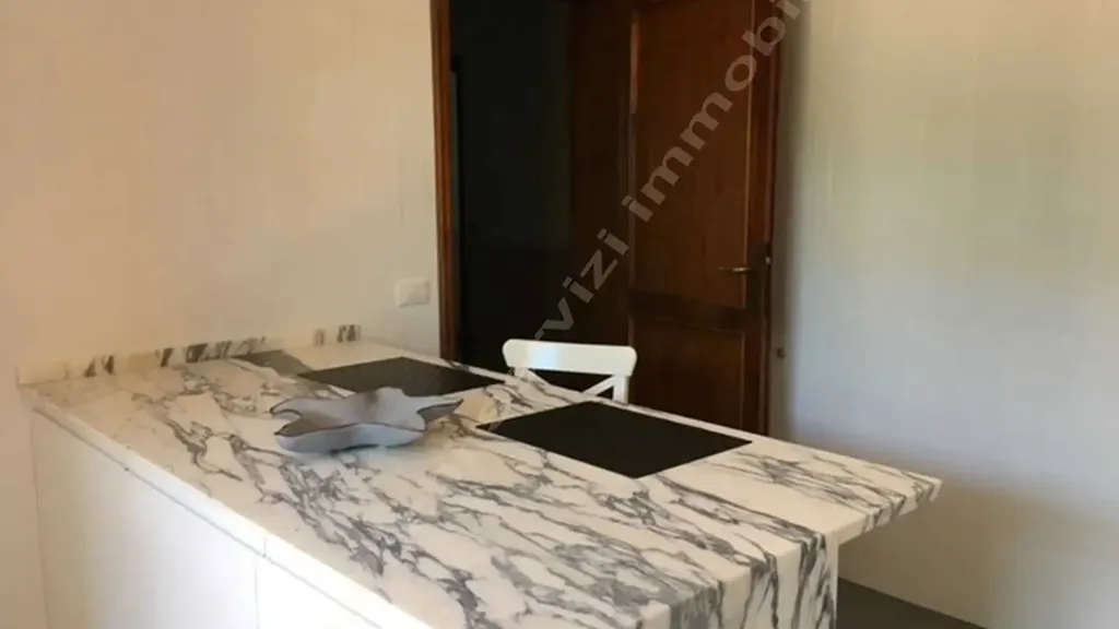 Cuisine - Villa with Private Garden in Forte Dei Marmi