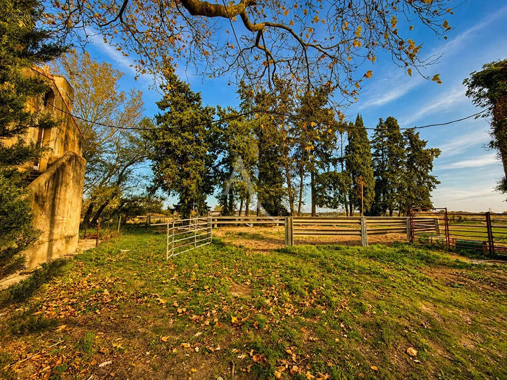 Giardino - Exceptional Mas with Vineyard in Provence