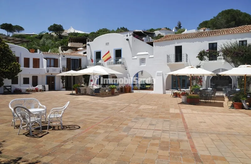 Garden - Beachfront Villa with Pool in Porto Rafael