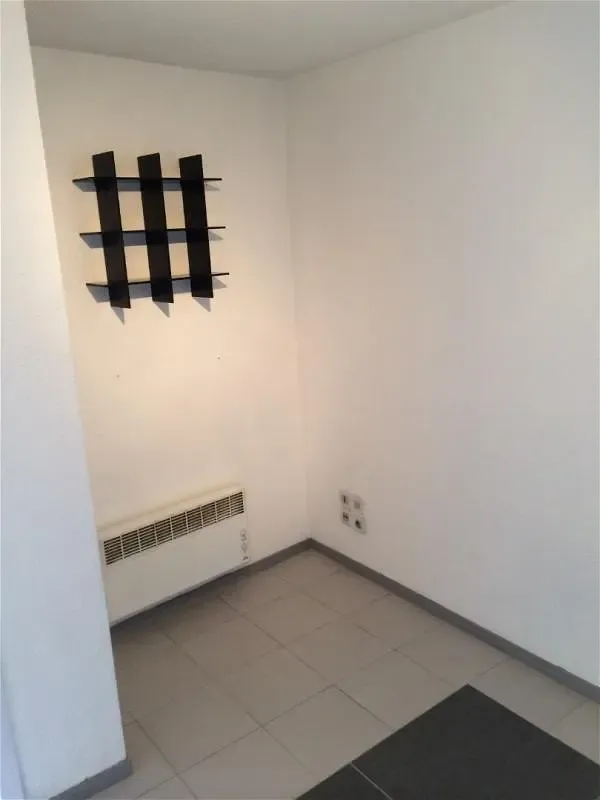 Toad - Refurbished Studio with Balcony in Grenoble