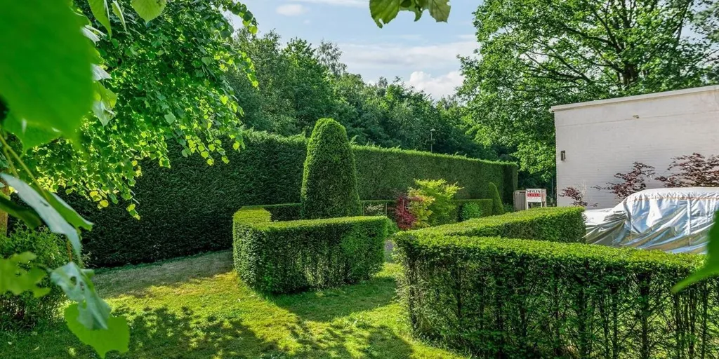 Jardin - Bungalow avec Jardin dans la Berkenlaan à Waasmunster