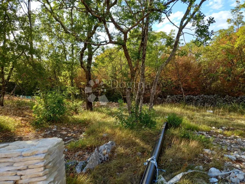 Jardin - Luxury Villa with Pool in Krk