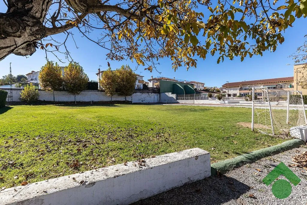 Jardin - Apartment with Pool in Ogíjares