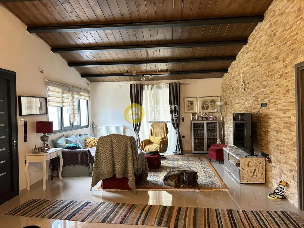 Séjour - Modern Villa with Garden in Artemida