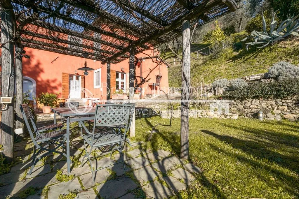 Terrace - Rustic Villa with Olive Grove in Massarosa
