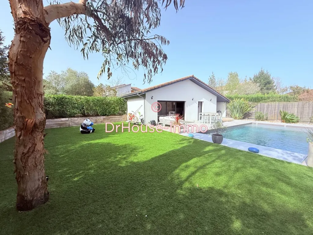 Pool - Architect House with Pool in Bruges