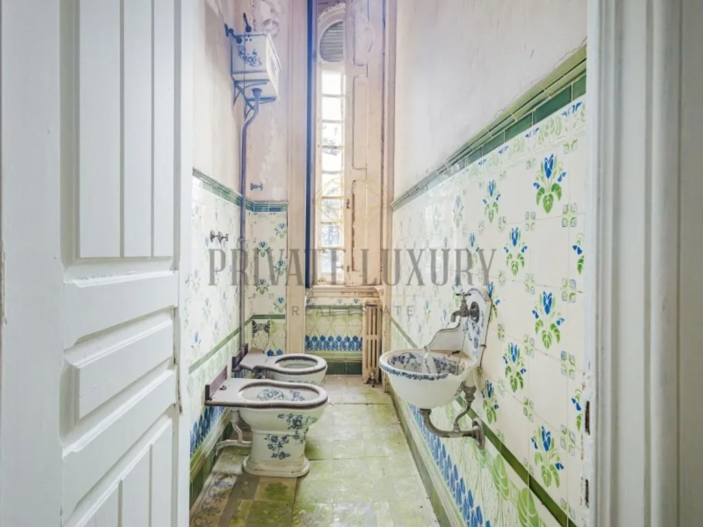Vannitoad - Historic Quinta with 100 Hectares in Sintra