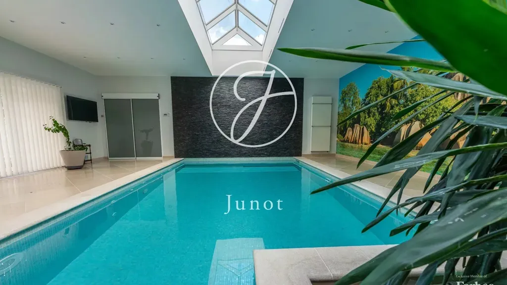 Bassein - Château with Pool and 16 Bedrooms in Poigny