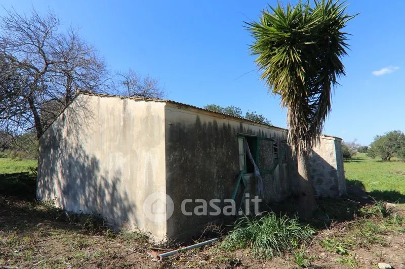 Extérieur - Rustic Casale with Large Land in Ispica