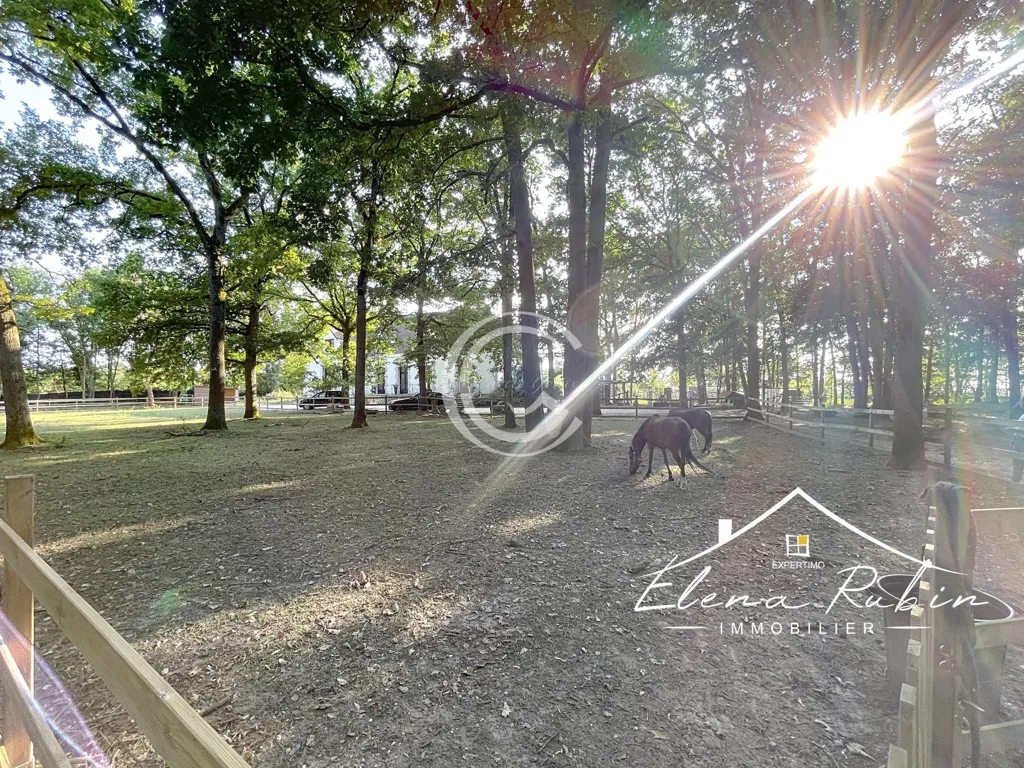 Aed - Equestrian Estate with Spa in Forested Area