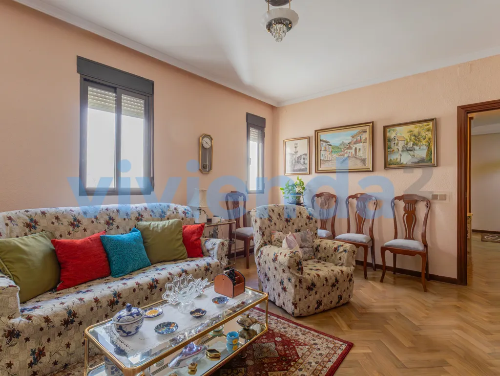 Elutuba - Palace Flat with Terrace in Calle Campomanes