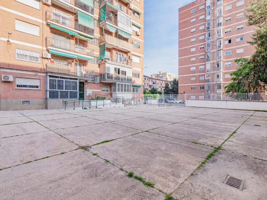 Jardin - Four-Bedroom Flat with Terrace in Cartuja