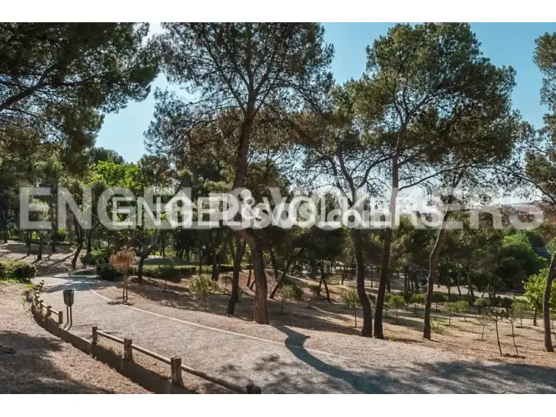 Furnished Flat with Pool in Fuencarral