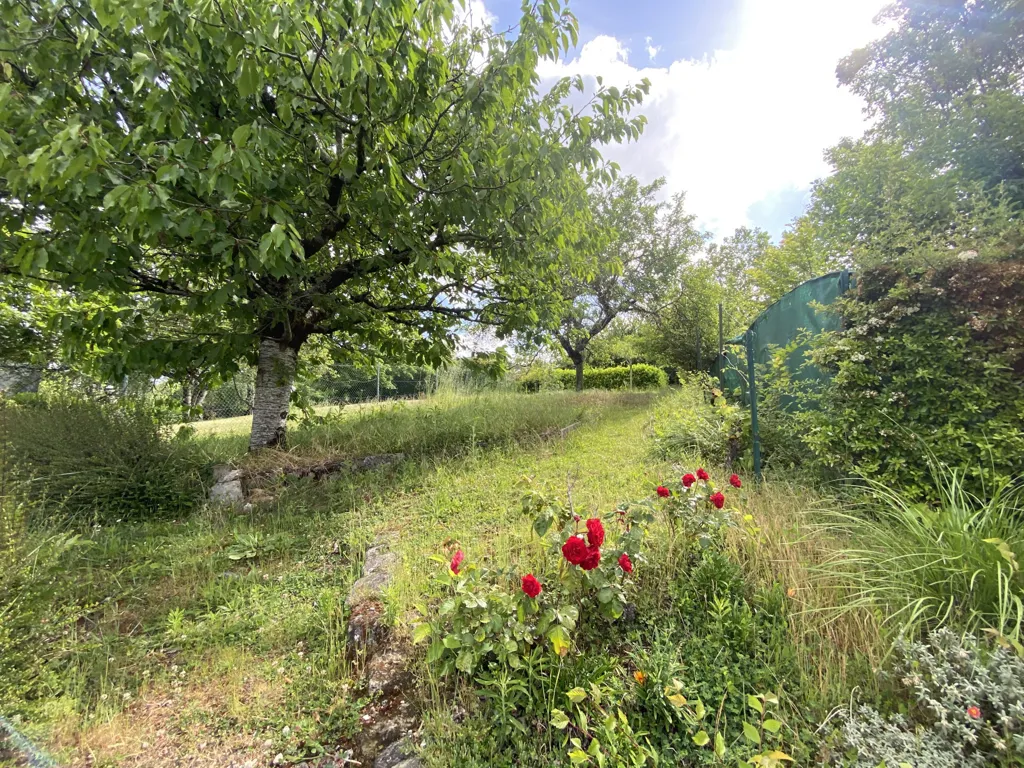 Aed - House with Garden and Basement in Saumur
