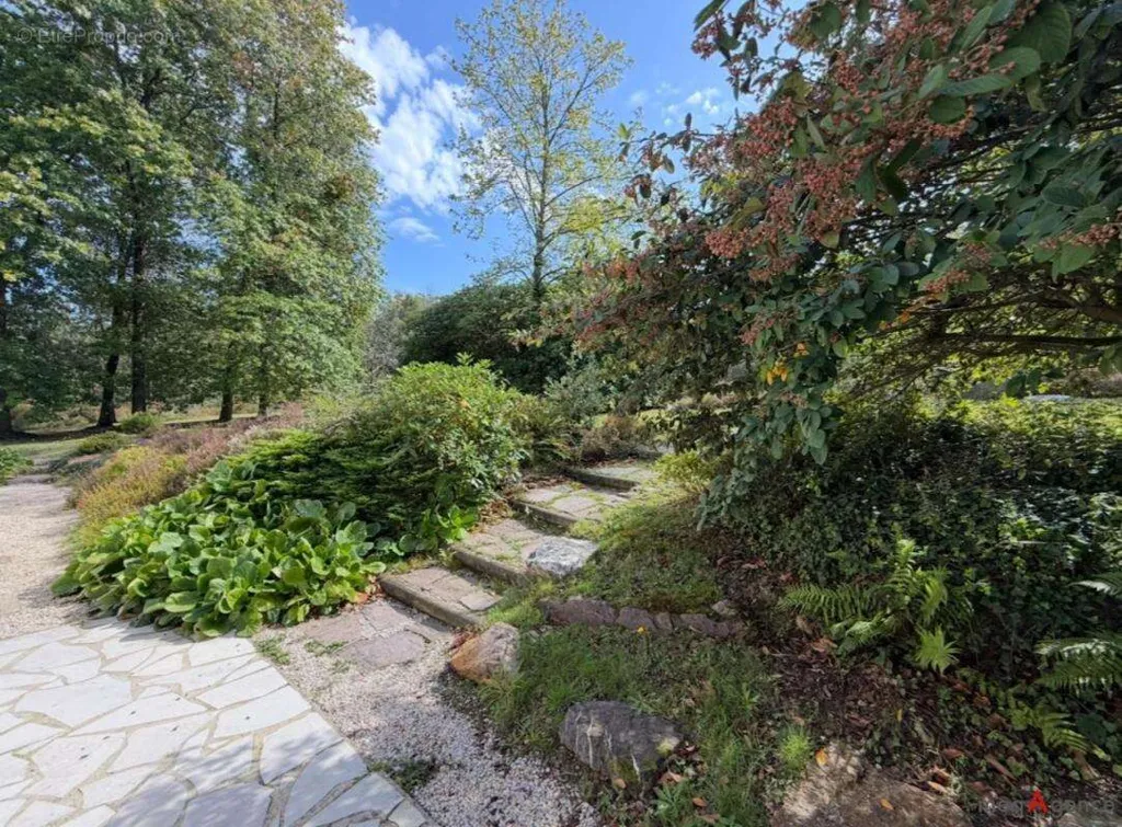 Jardin - Maison 6 pièces à Guer