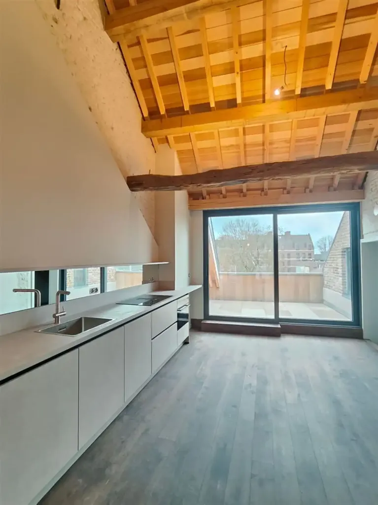 Cucina - Duplex Loft with Terrace in Maaseik Centre