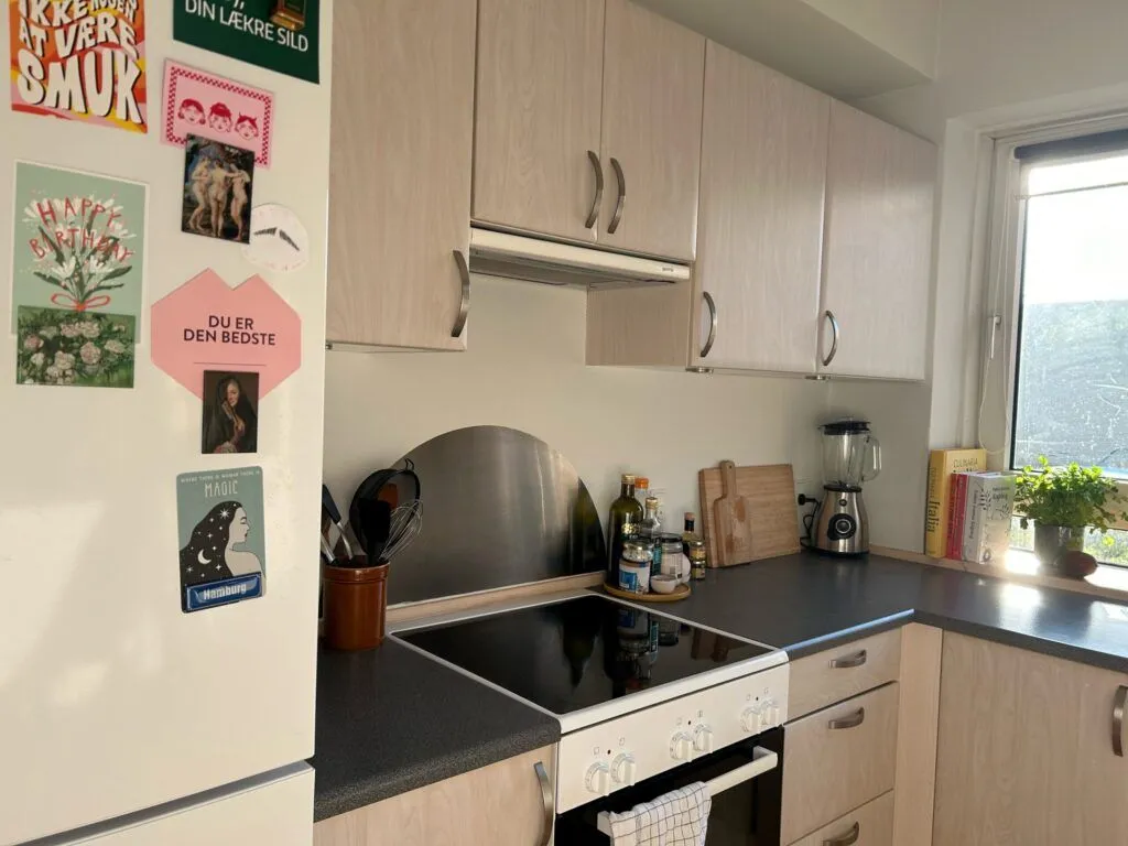 Cuisine - 2-Bedroom Flat with Garden in Øgaden