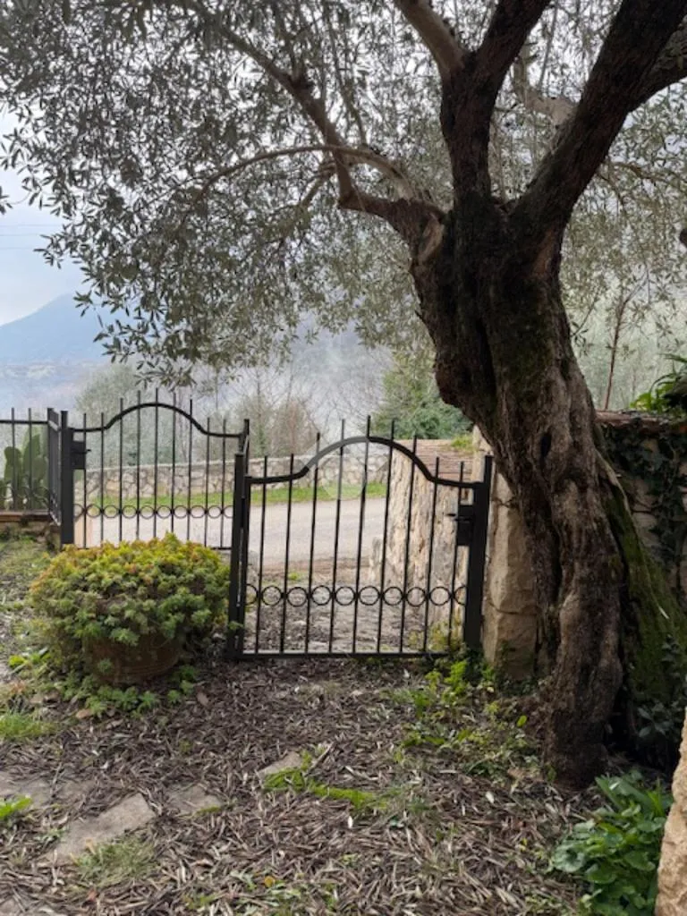 Garden - Independent House with Restaurant in Venafro
