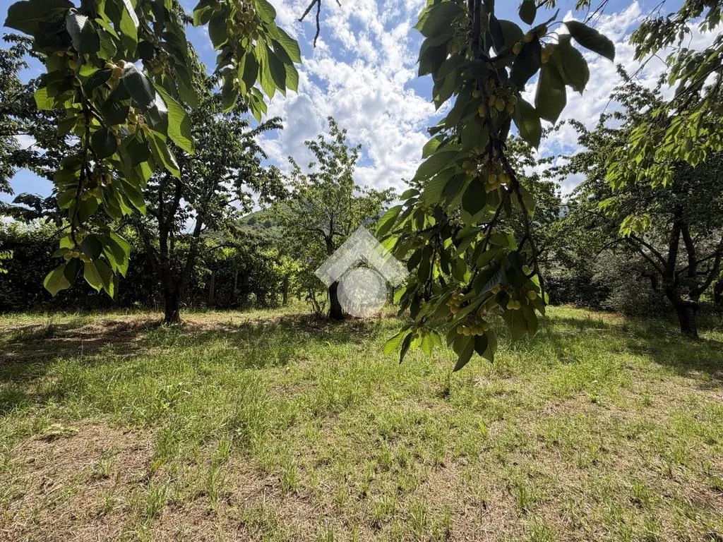 Jardin - Agricultural Land with Cherry Trees in Cervinara