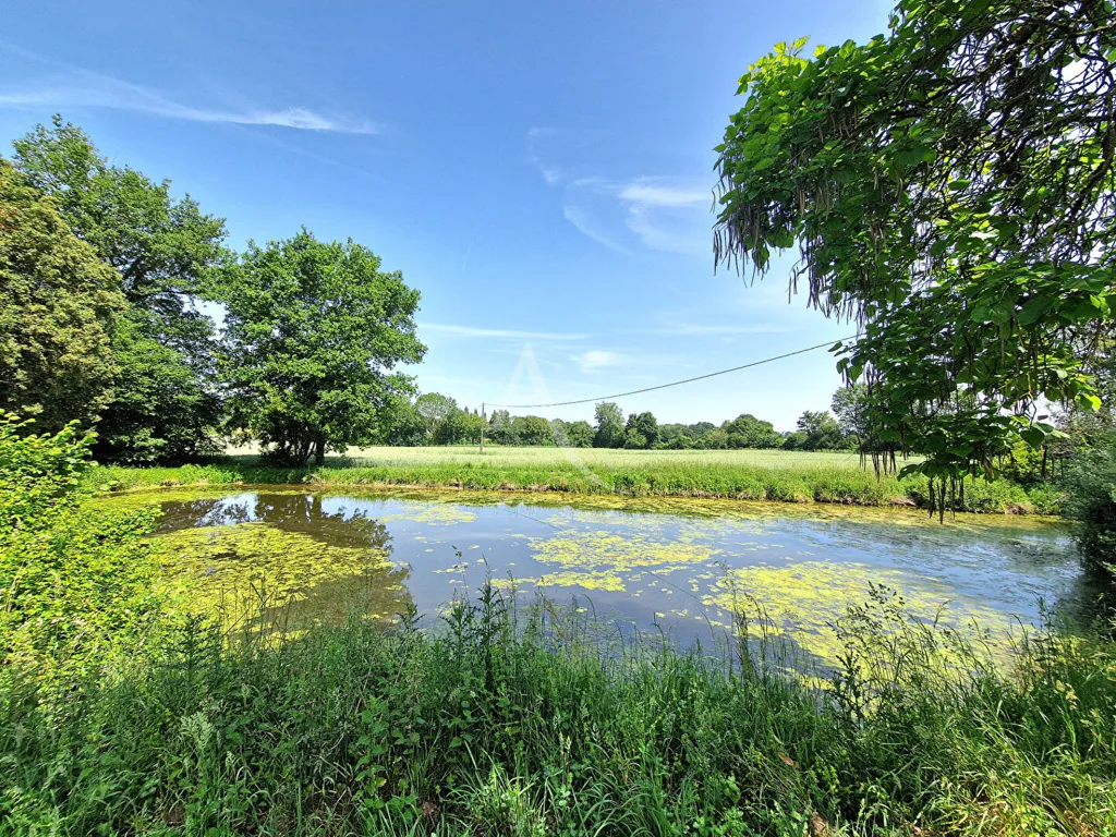 Jardin - Maison de Plain-Pied avec Jardin à Contigné