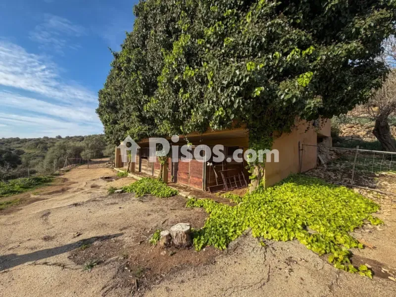 Extérieur - Historic Mallorcan Estate with Panoramic Views, Manacor