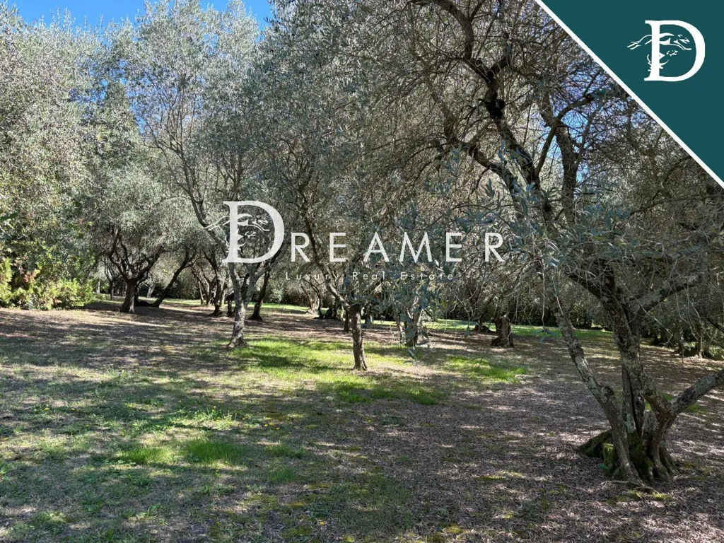 Giardino - Villa with Garden in Marignolle