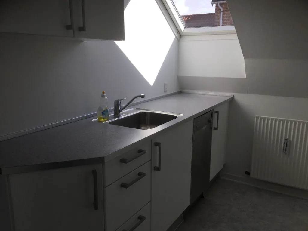 Cuisine - 3-Bedroom Apartment with Balcony in Silkeborg Centre