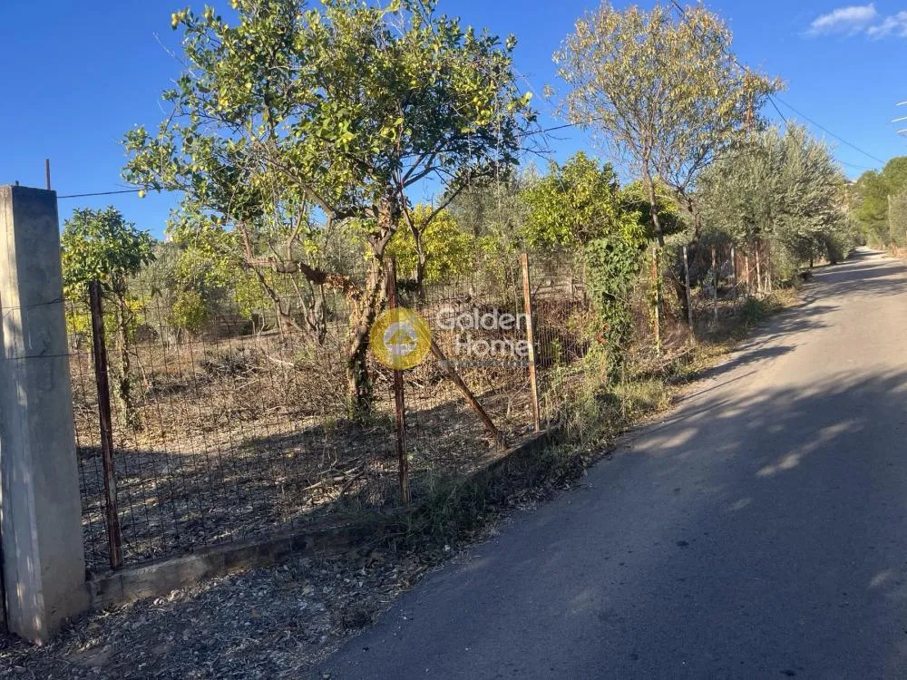 Land in GR