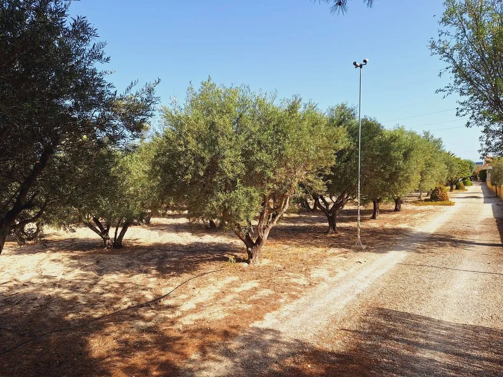 Välivaade - Detached House with Pool in Alicante