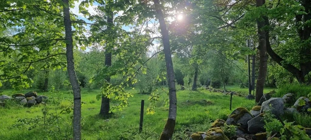 4-toaline maja asukohas Tidaholms kommun