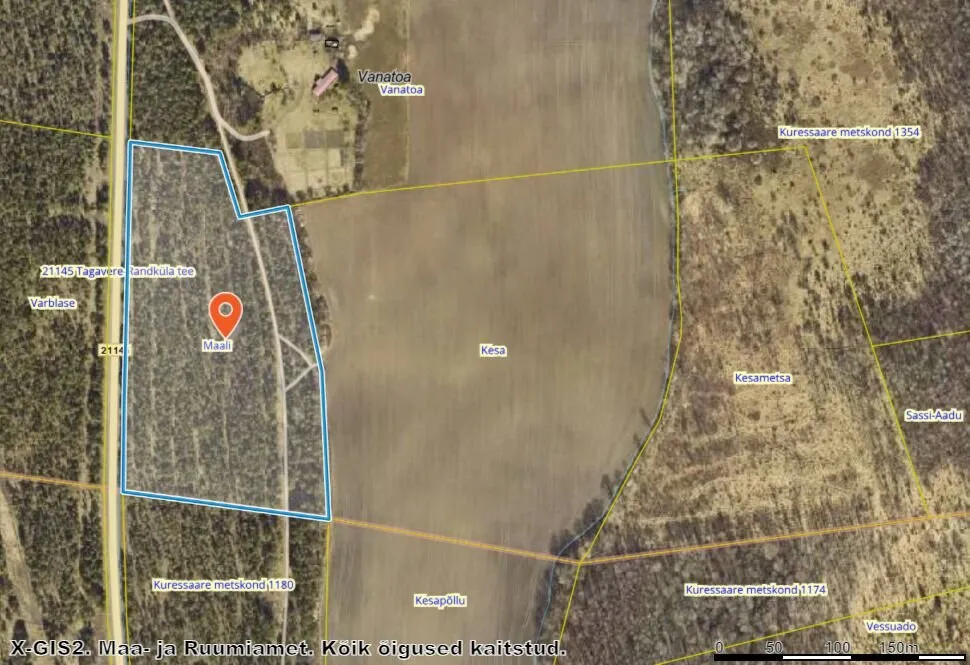 Plan - Forested Land with Access Road in Väike-Võhma, Saaremaa