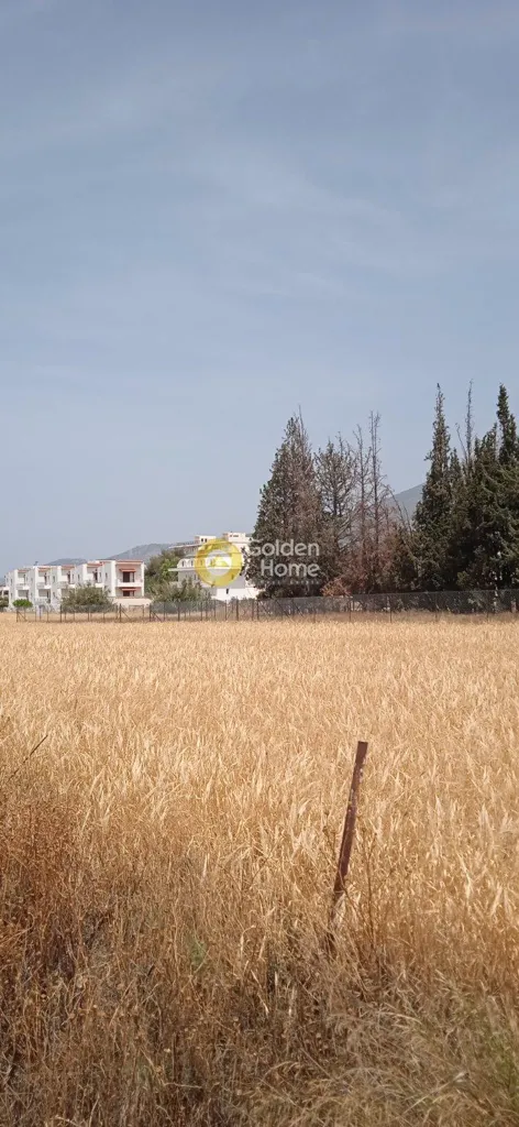 Aed - Plot with Sea View in Loutraki-Perachora